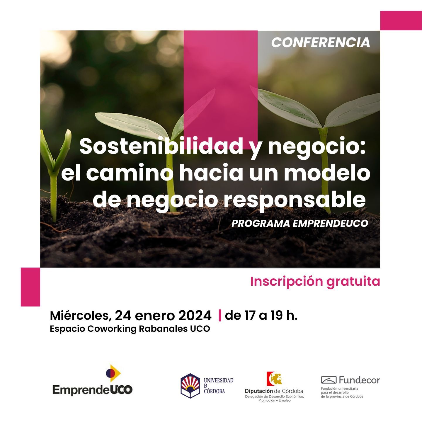 Sostenibilidad y negocio: el camino hacia un modelo de negocio responsable