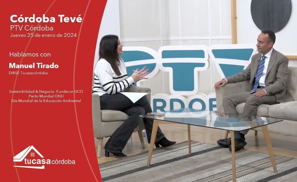 Innovación y Sostenibilidad: Claves del Éxito en el Mercado Inmobiliario