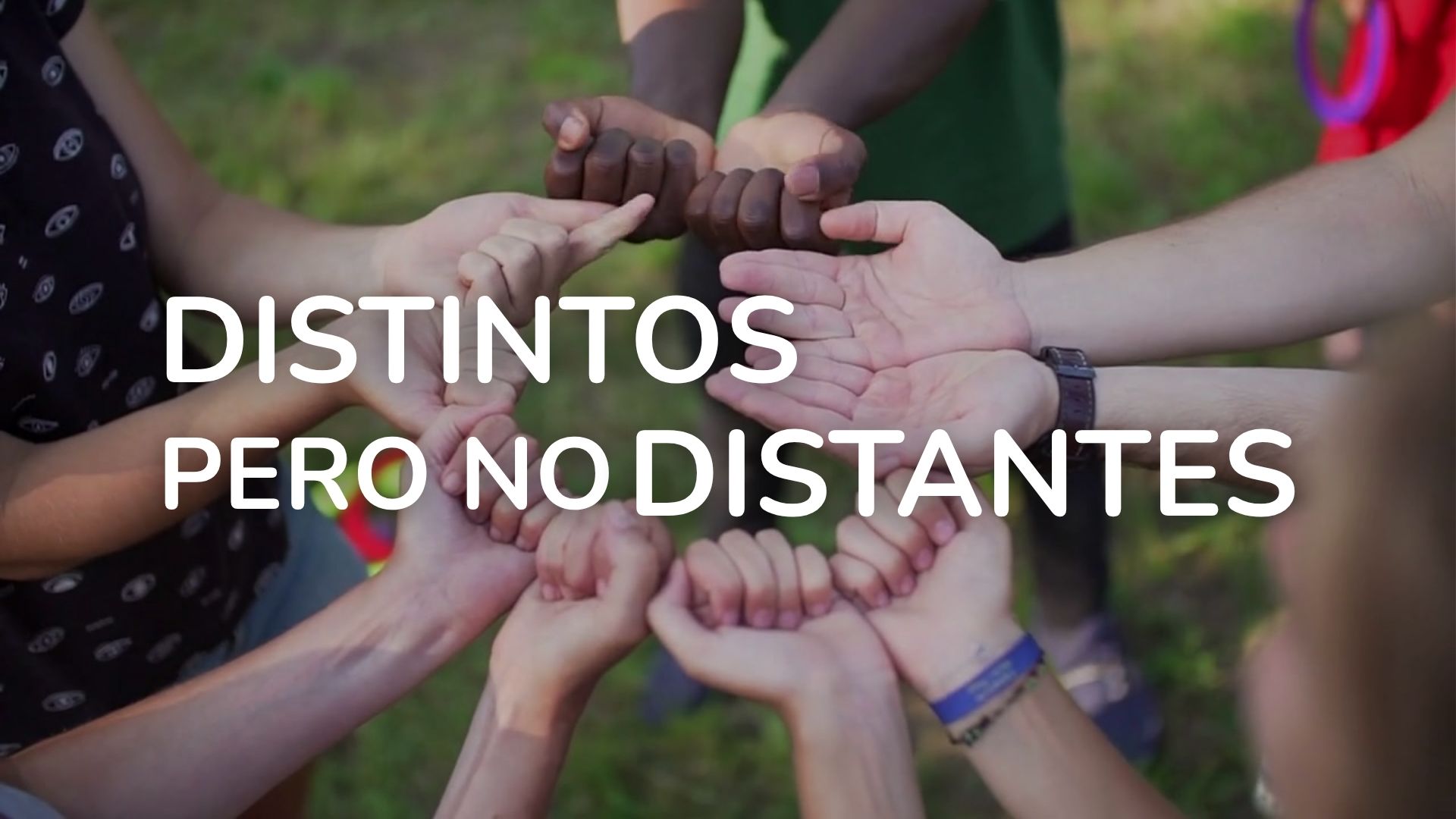 Manifiesto por la Diversidad, la Equidad y la Inclusión