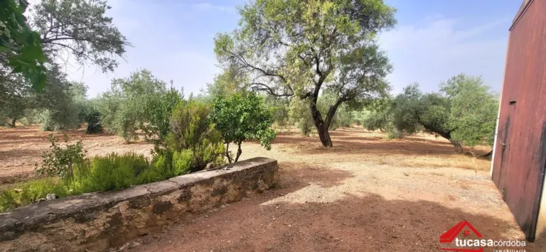 Terreno rural en Andalucia