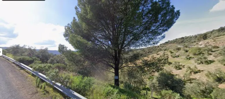 Terreno rural en Andalucia
