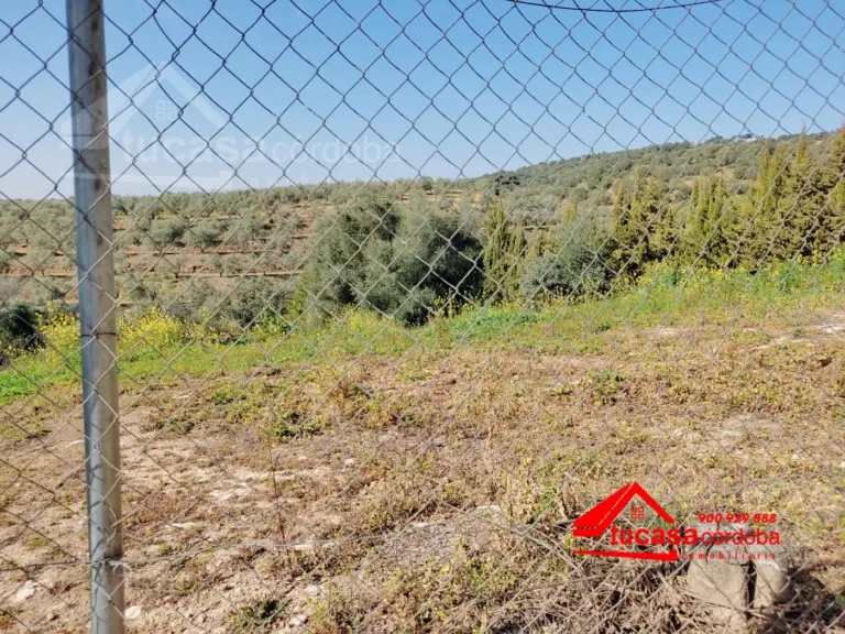 Terreno rural en Las cuevas
