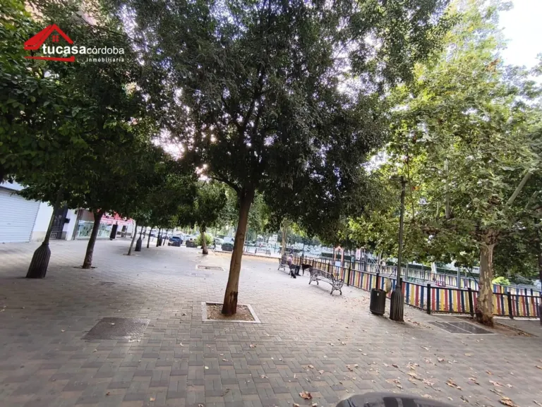 Local comercial en Av. Barcelona - Viñuela - Rescatado