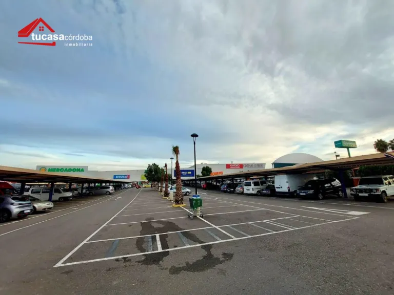Local comercial en Polígono Guadalquivir Zona Alta