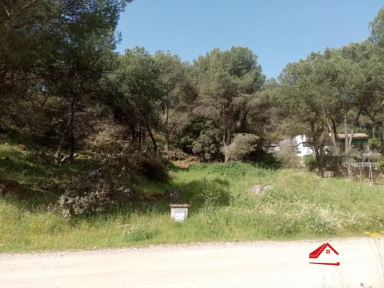 Terreno urbano en Las Jaras - Assuan