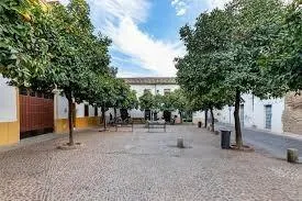 Piso en San Pedro