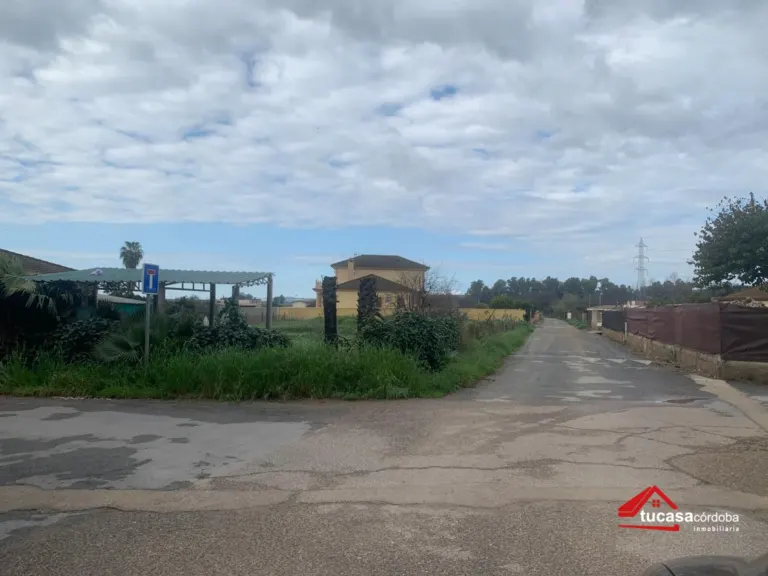 Terreno rural en Villarrubia