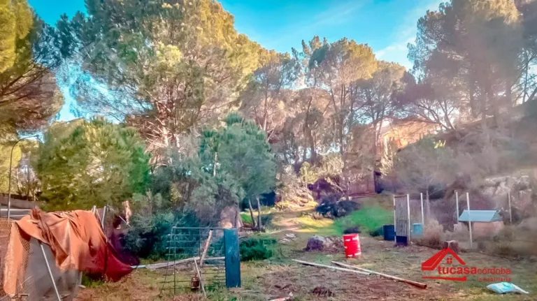 Terreno urbano en Las Jaras - Assuan