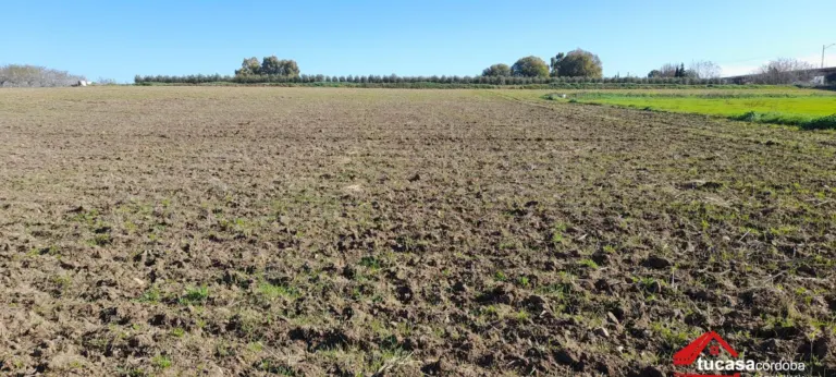 Terreno rural en El Higuerón
