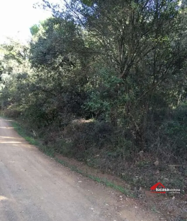 Terreno rural en Trassierra - Las Jaras