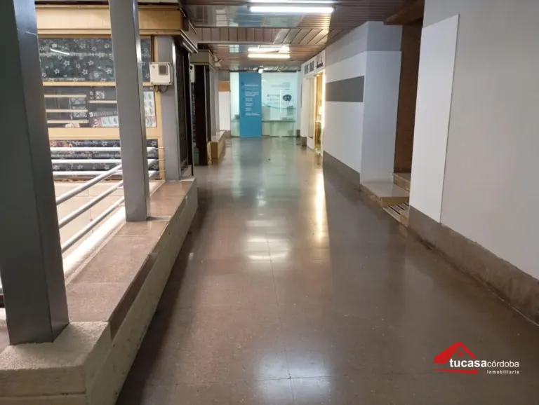 Local comercial en Centro