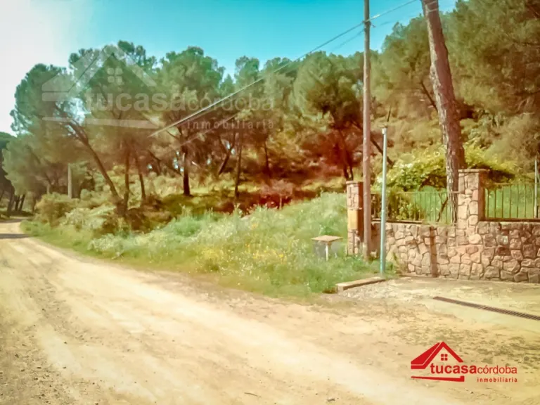 Terreno rural en Las Jaras - Assuan