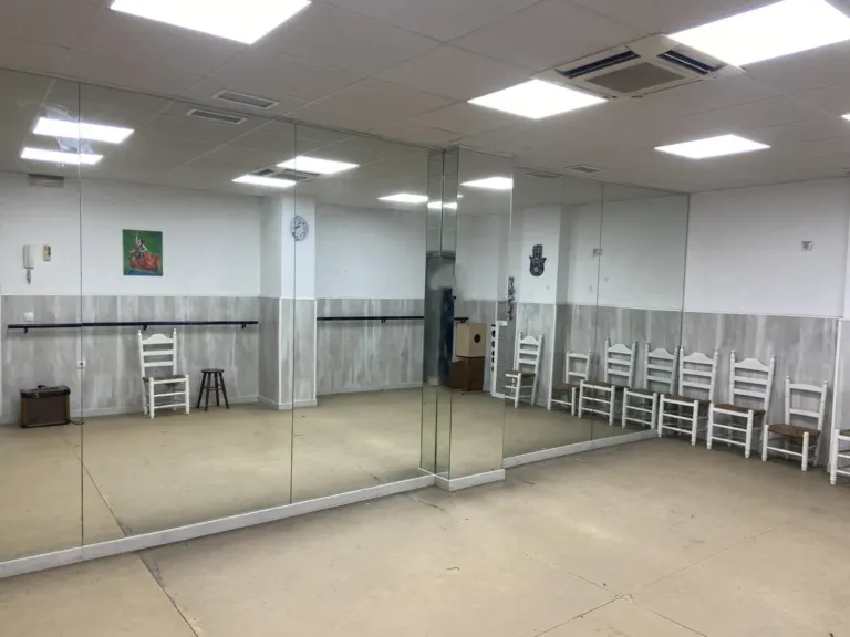 Local comercial en Edisol
