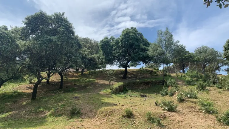 Terreno urbano en Calasancio