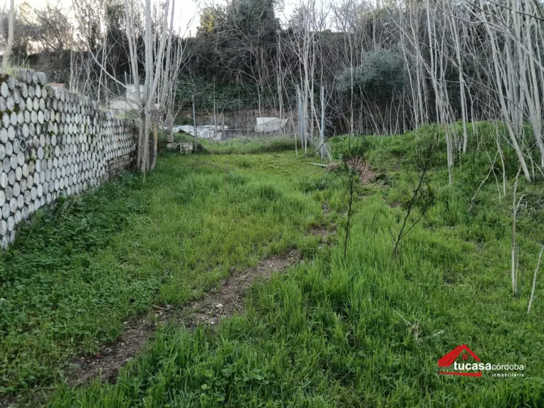 Parcela en Naranjo - Mirabueno