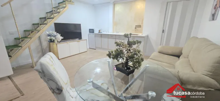 Loft en Centro